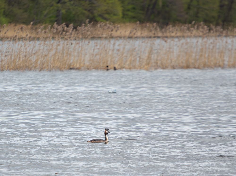 Фотография автора Алина Руденко