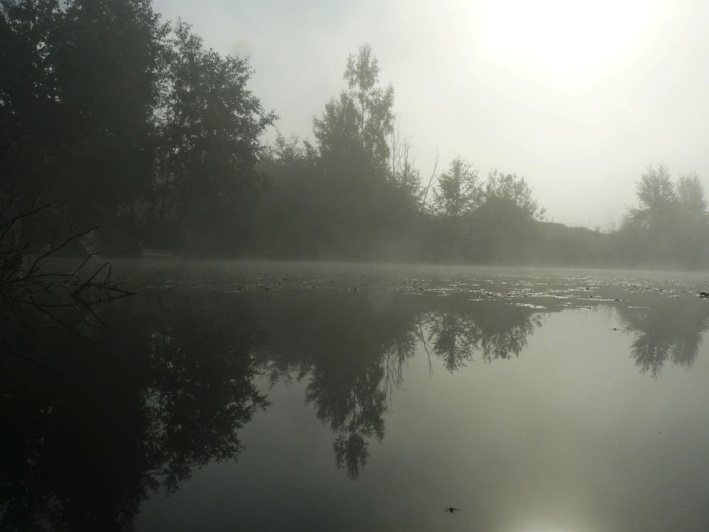 Photograph by Ирина Сергейчук