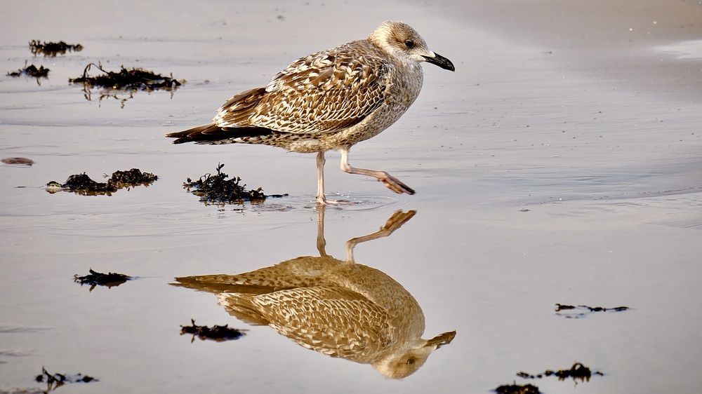 Фотография автора VIZO