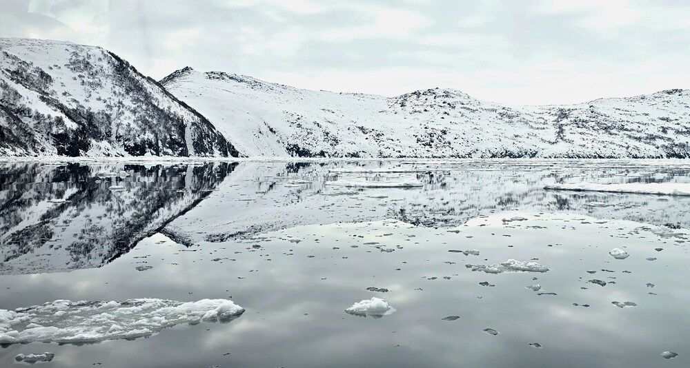 Photograph by Лариса Ким