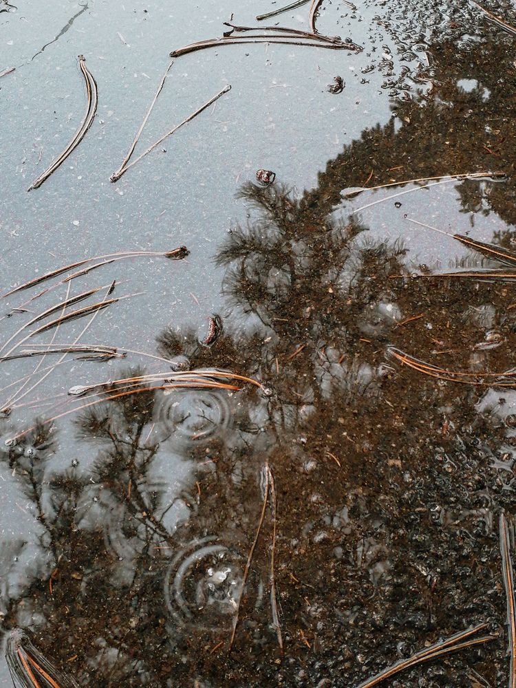 Photograph by Наталия Соболева