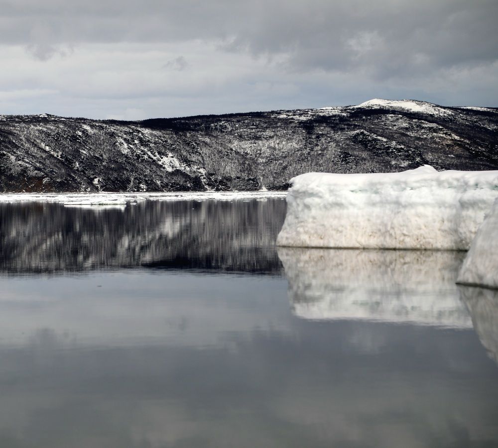 Photograph by Лариса Ким