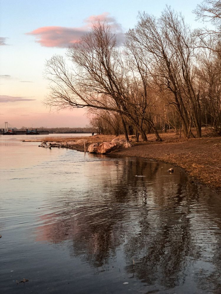 Фотография автора Светлана Гончарова