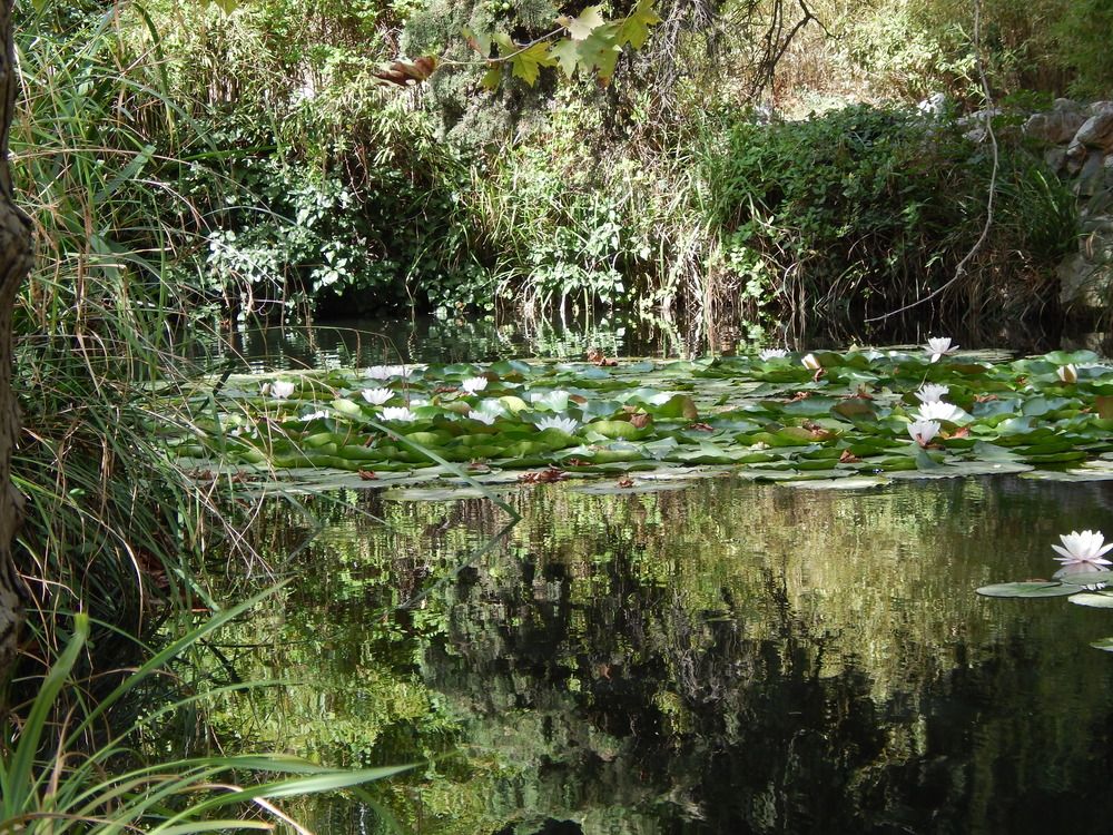 Photograph by Tanivsv