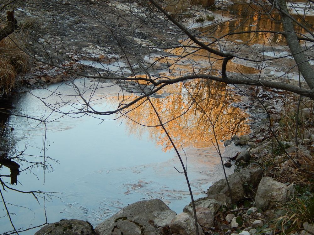 Photograph by Tanivsv