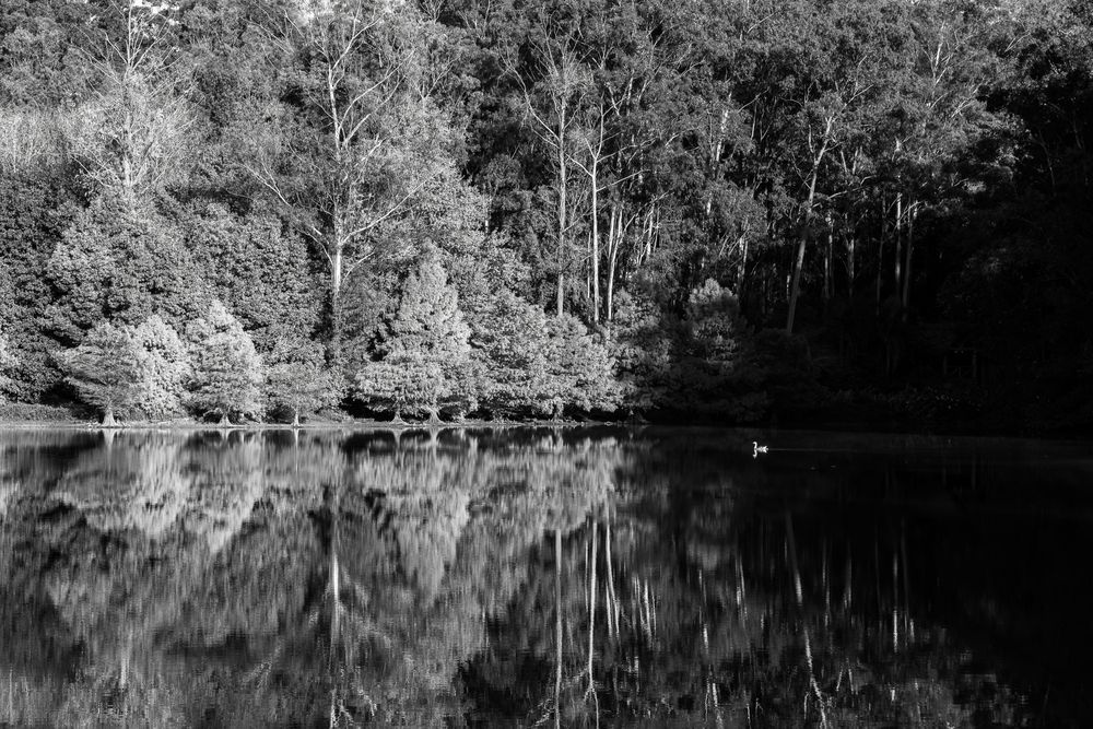 Photograph by Mateus Campos Felipe