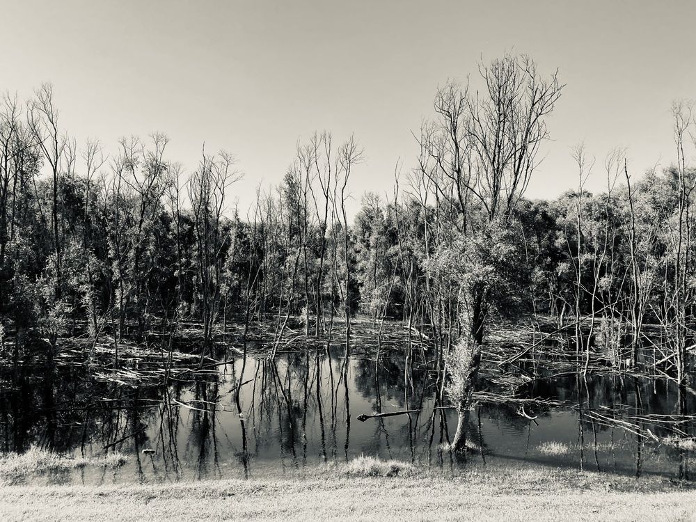 Photograph by Ульяна Красикова