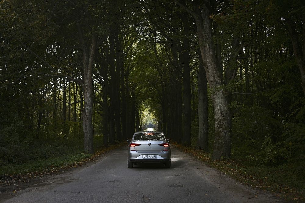 Photograph by Ирина Кучеренко