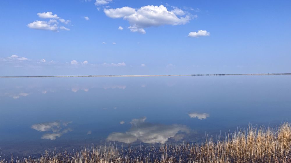 Photograph by OLGA LIZ