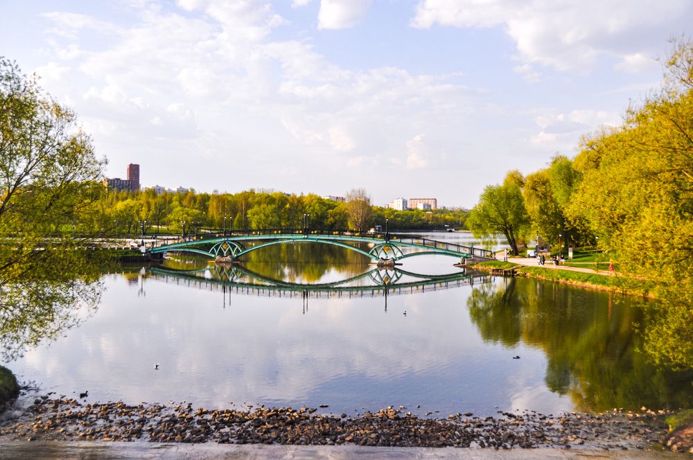 Фотография автора Елизавета Синицына