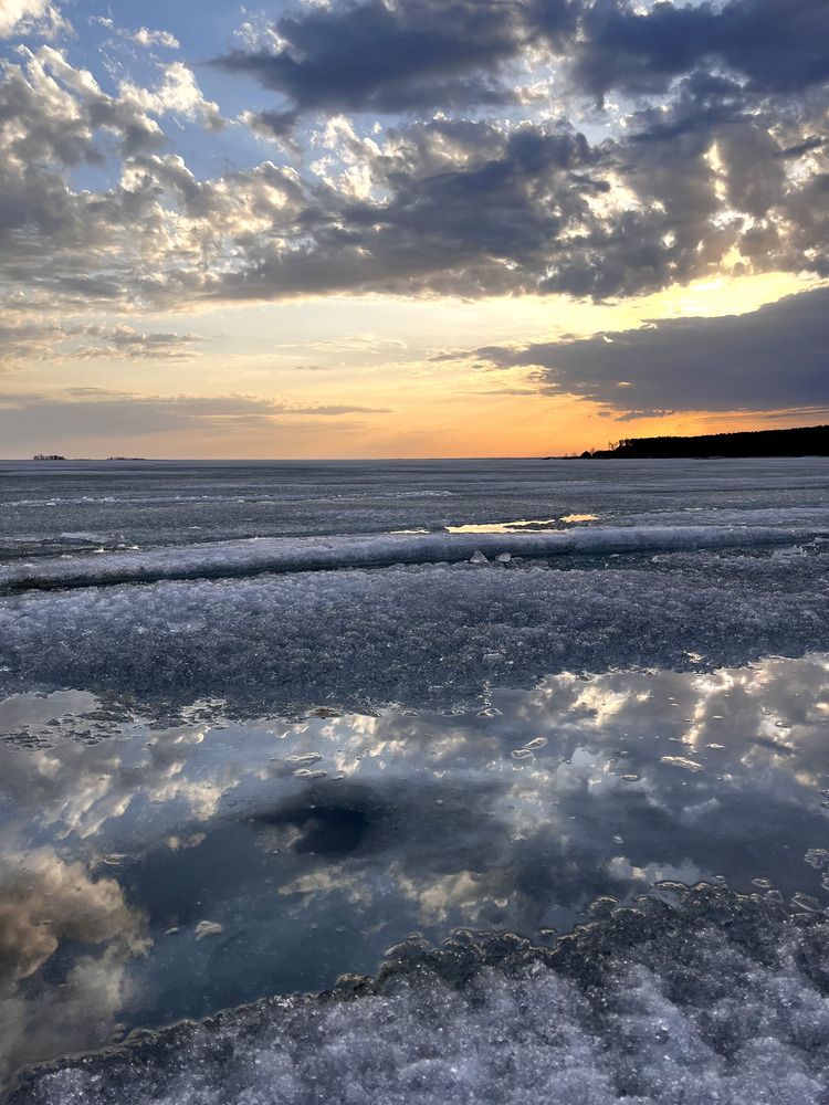 Photograph by OLGA LIZ