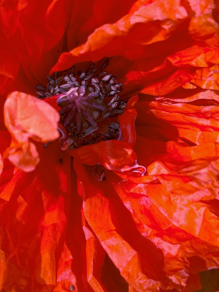 Photograph by Екатерина Мартьянова