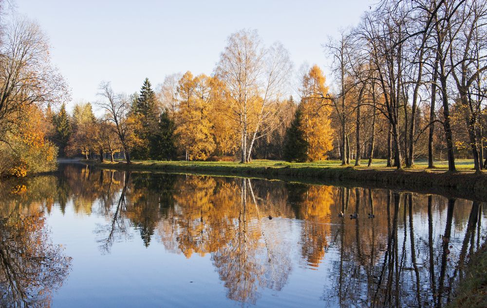 Photograph by Pavel Gukov