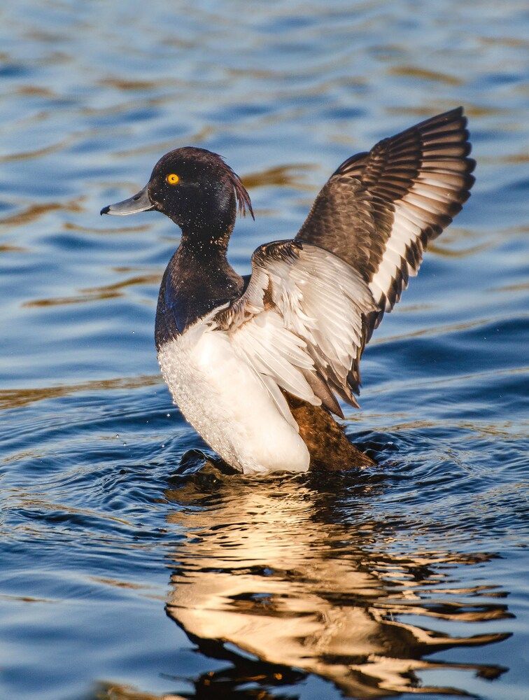 Photograph by Юлия Сидорова