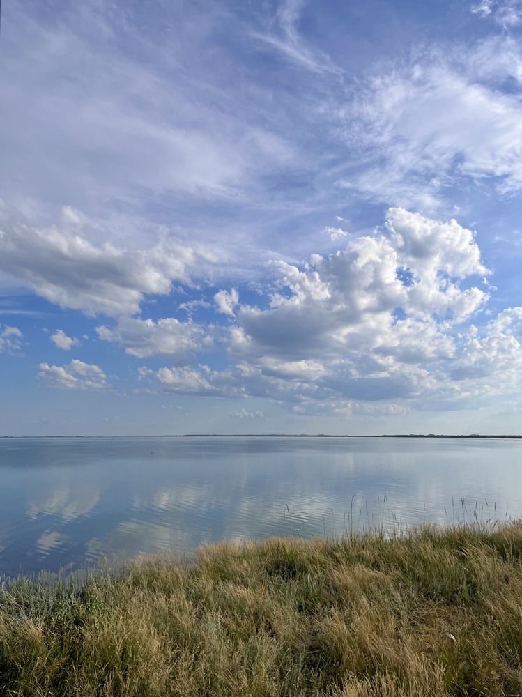 Photograph by OLGA LIZ