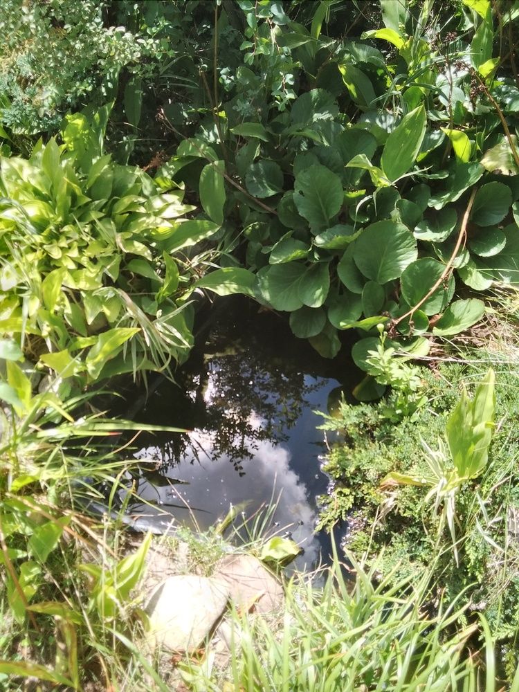 Photograph by Васильева Львовна