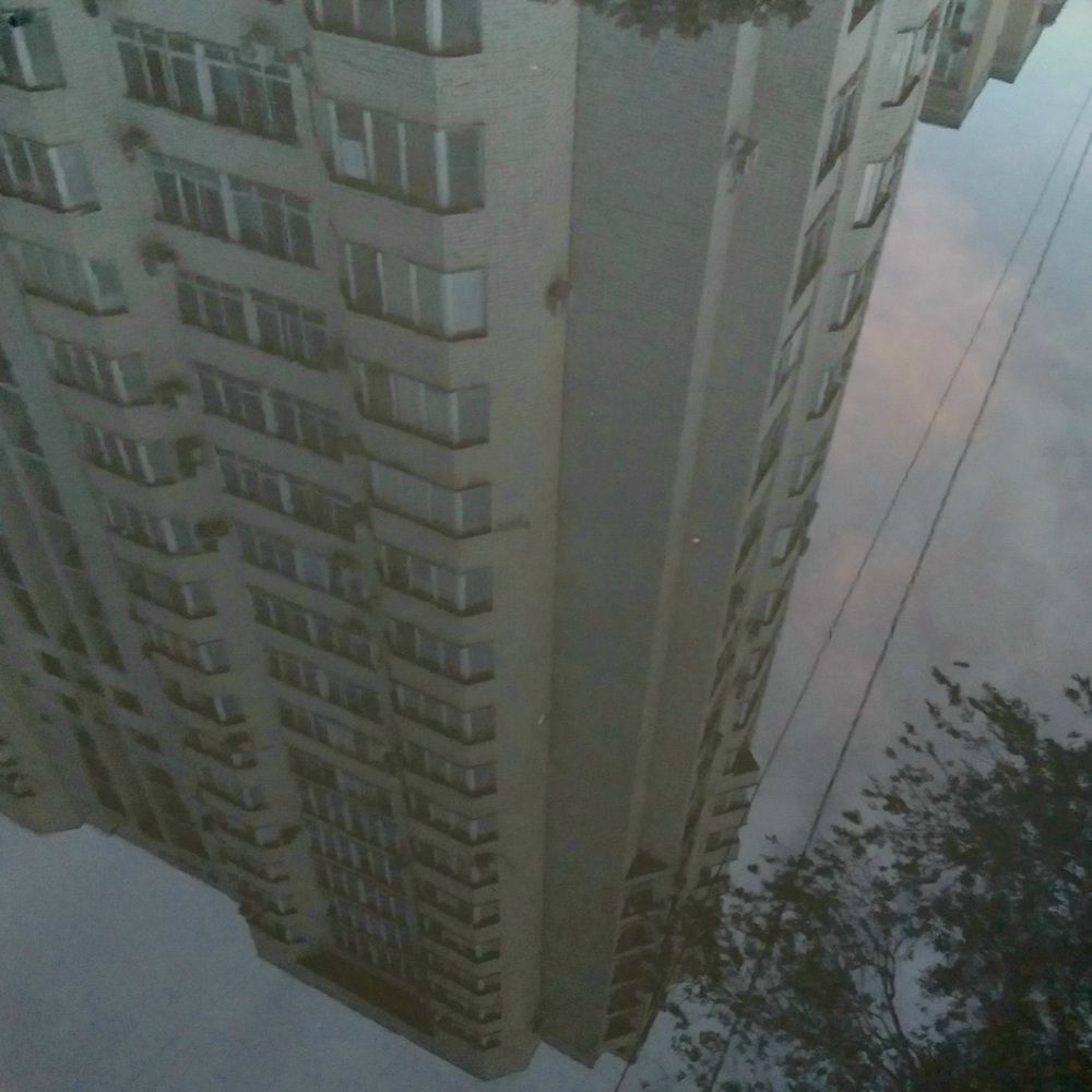 Photograph by Васильева Львовна