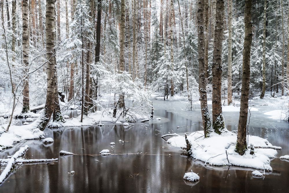 Photograph by Соколова Елена