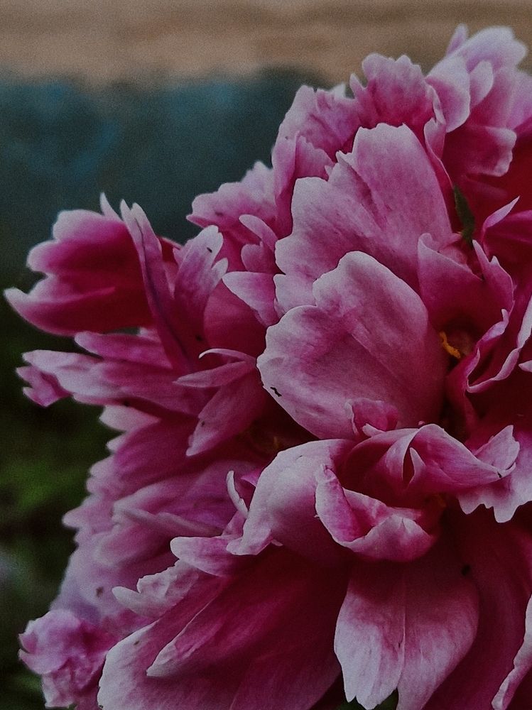Photograph by Елена Семкина