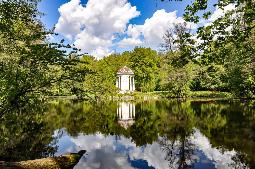 Фотография автора Елизавета Синицына