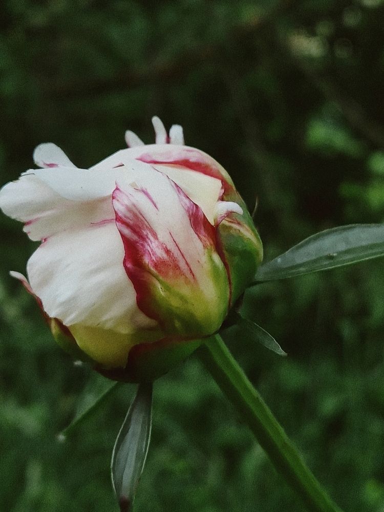 Photograph by Елена Семкина