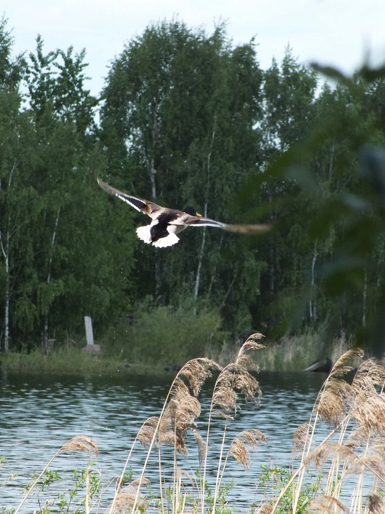 Photograph by Андрей Березин