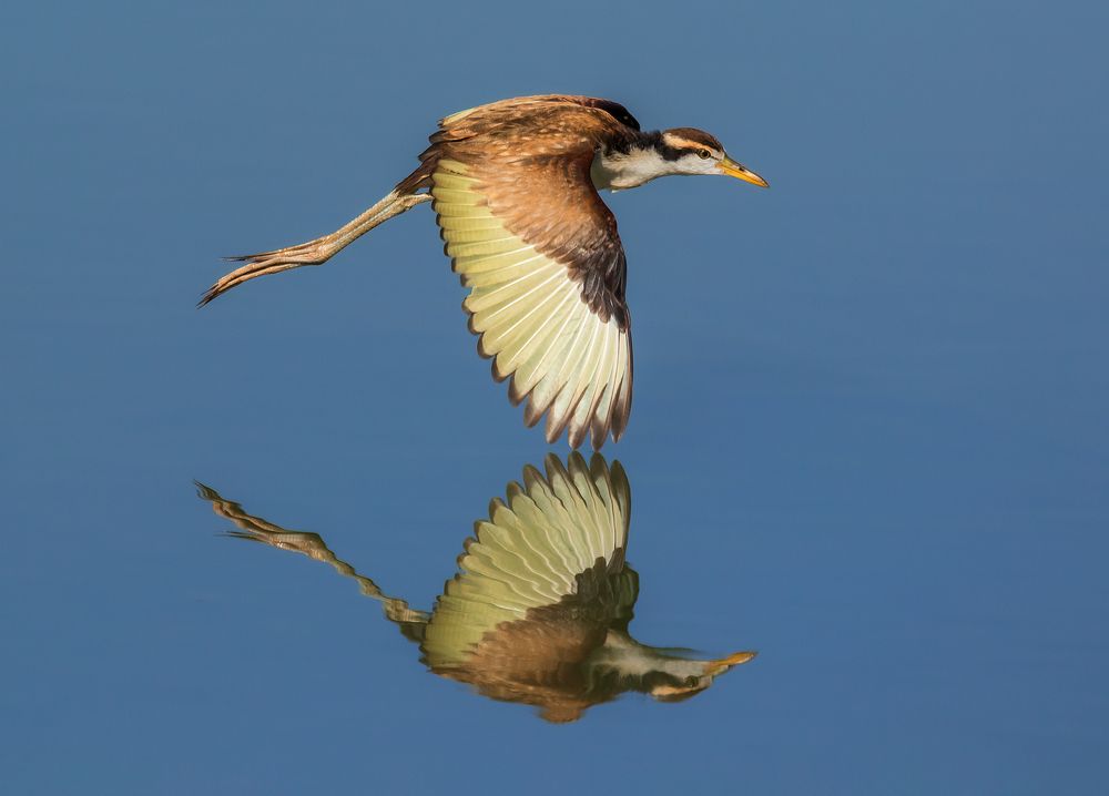 Photograph by Valdir Hobus