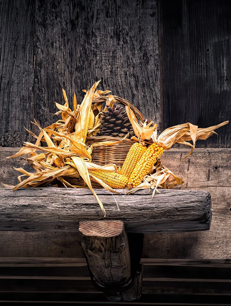 Photograph by Veaceslav Chisalita