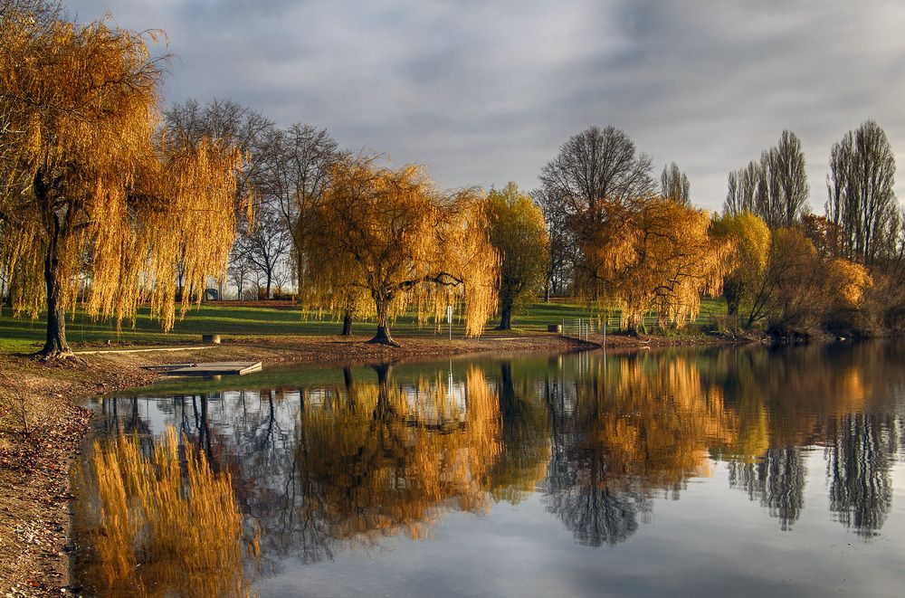Фотография автора Александр