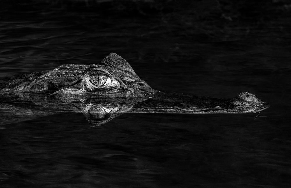 Photograph by Valdir Hobus