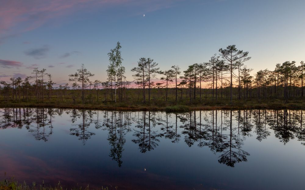 Photograph by Комарова Вера