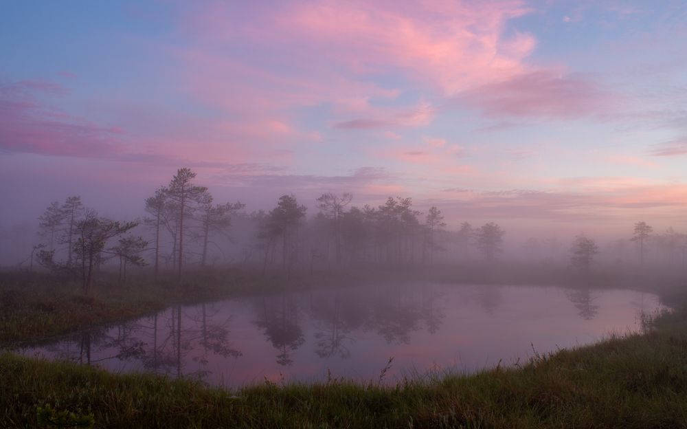 Photograph by Комарова Вера