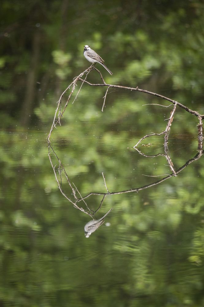 Photograph by Елена Перминова