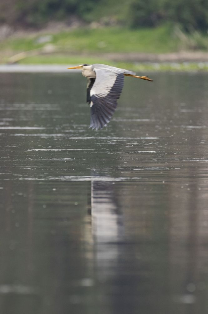 Photograph by Елена Перминова