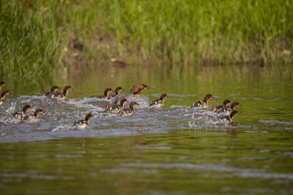 Photograph by Елена Перминова