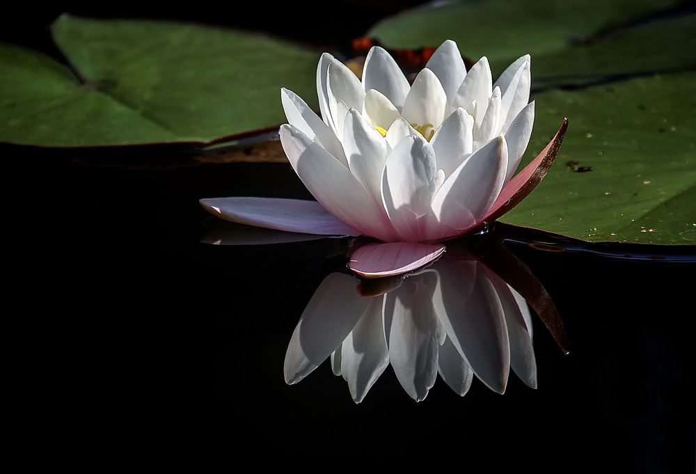 Фотография автора Александр