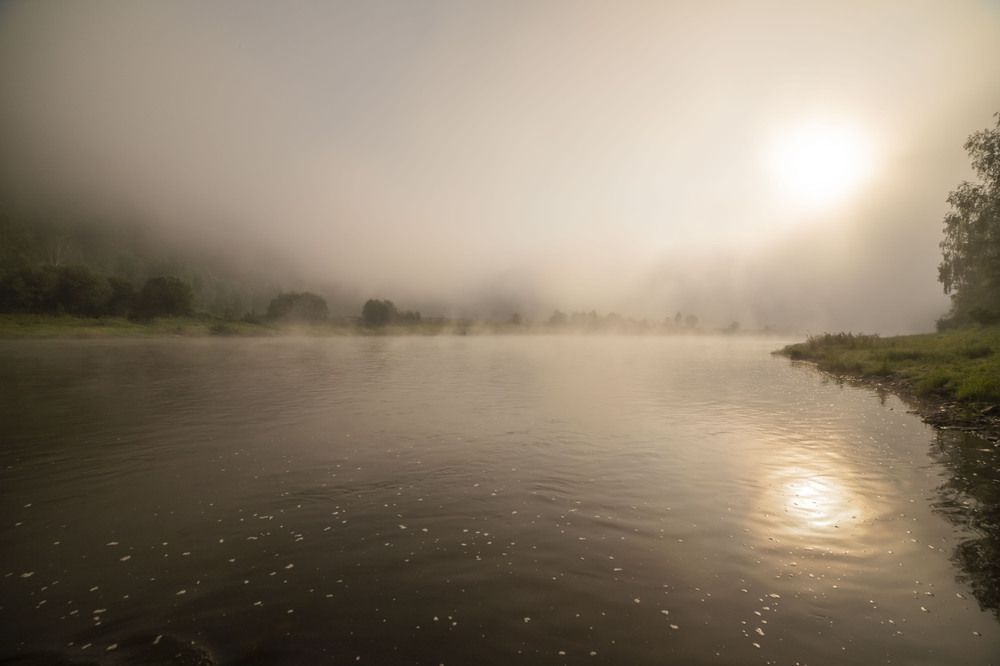 Photograph by Елена Перминова