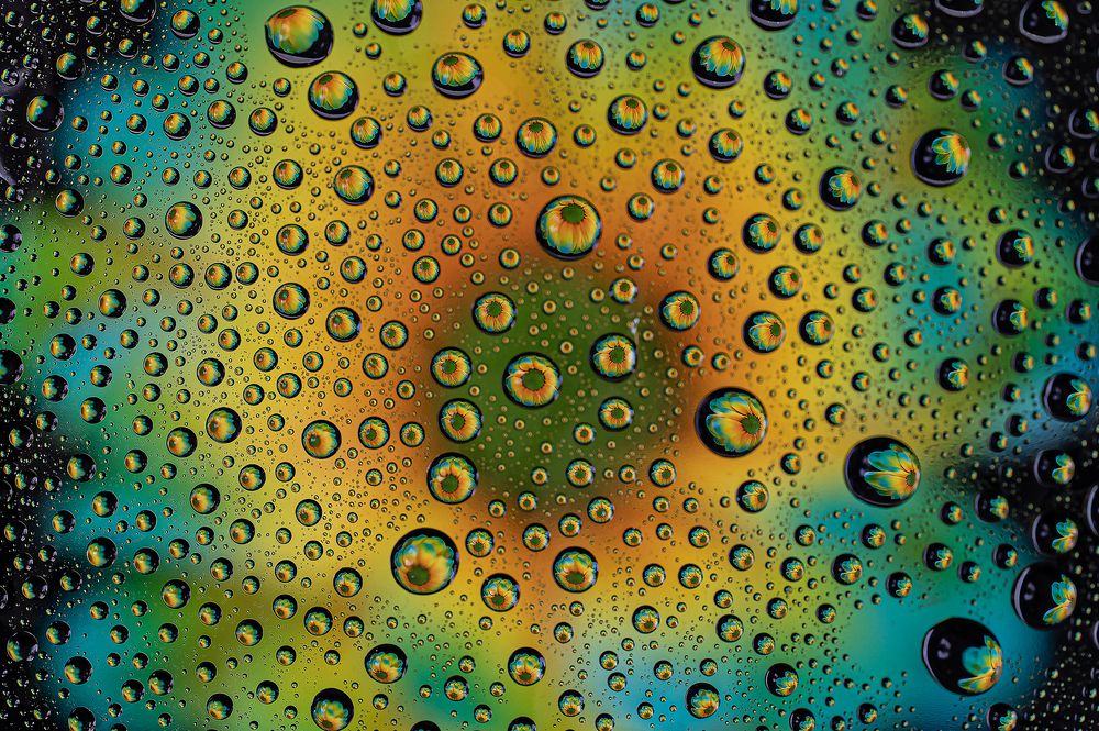 Photograph by Jacky Weckx