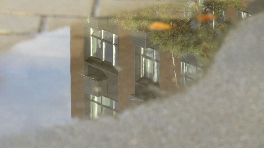 Photograph by Надежда Дергунова