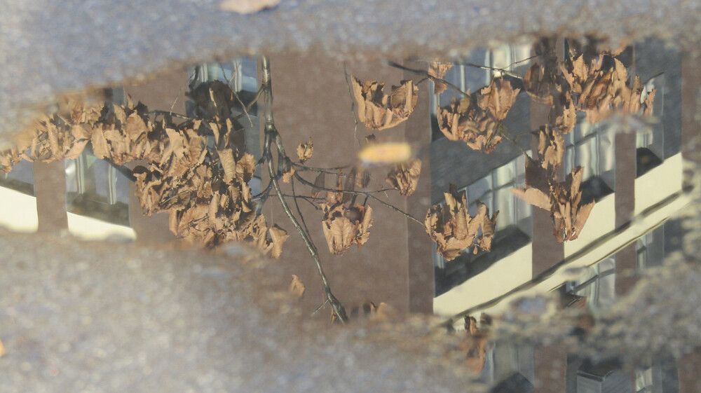 Photograph by Надежда Дергунова