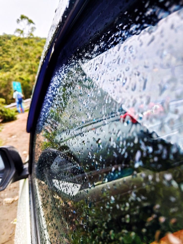 Фотография автора Captured Chronicles