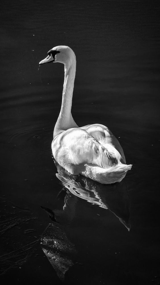 Photograph by Наталия Короленко