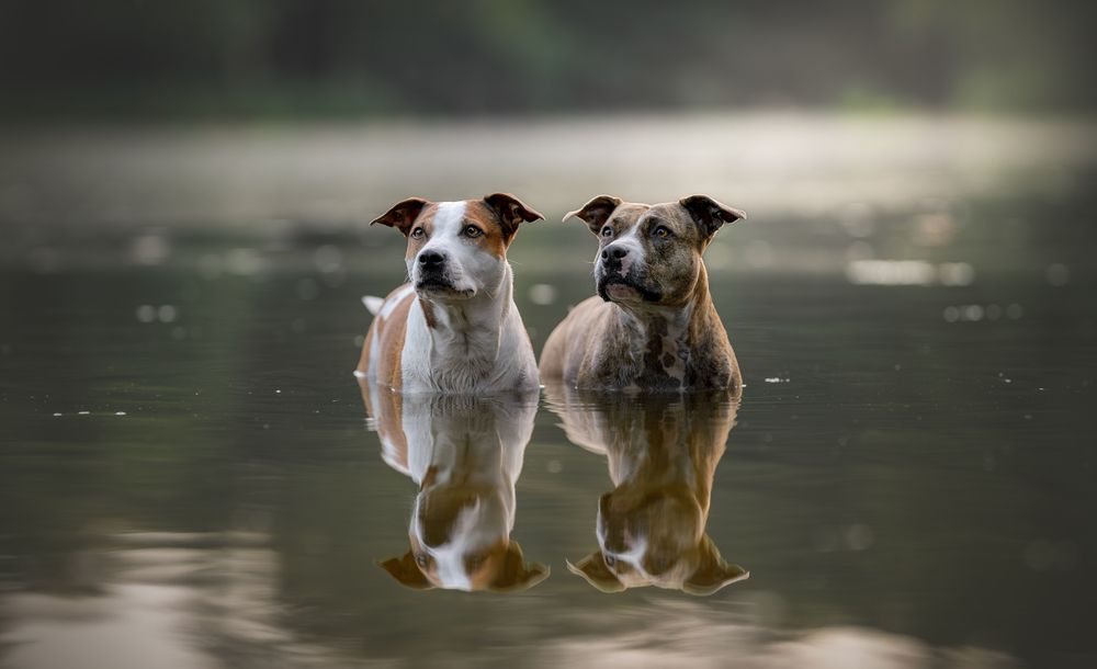 Photograph by Lucie Nermuťová