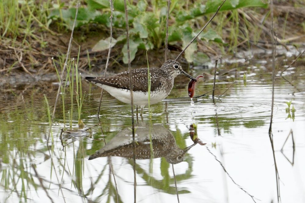 Photograph by Tyler Dewees