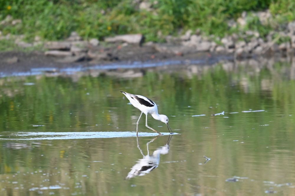 Photograph by Tyler Dewees