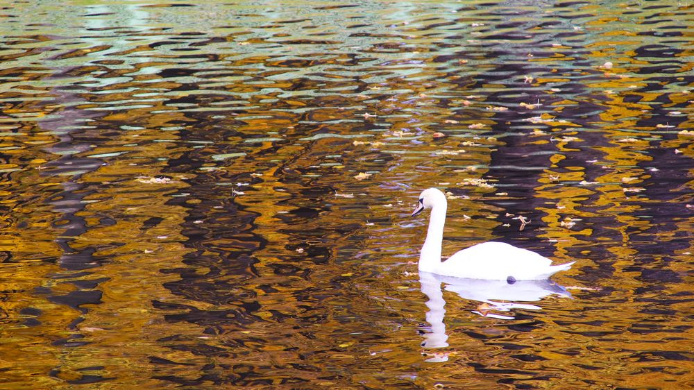 Photograph by Андрей Вешняков