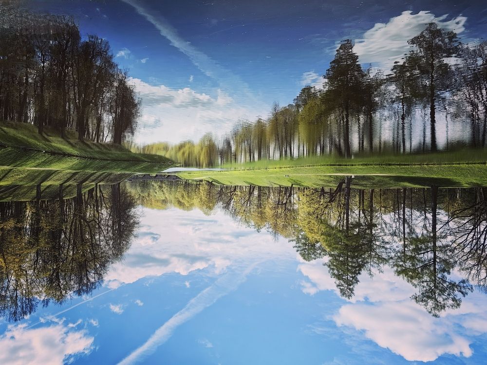 Photograph by Елена Акимова