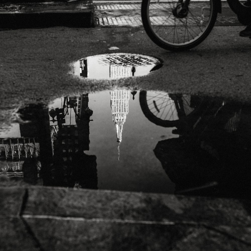 Photograph by Francisca Roura