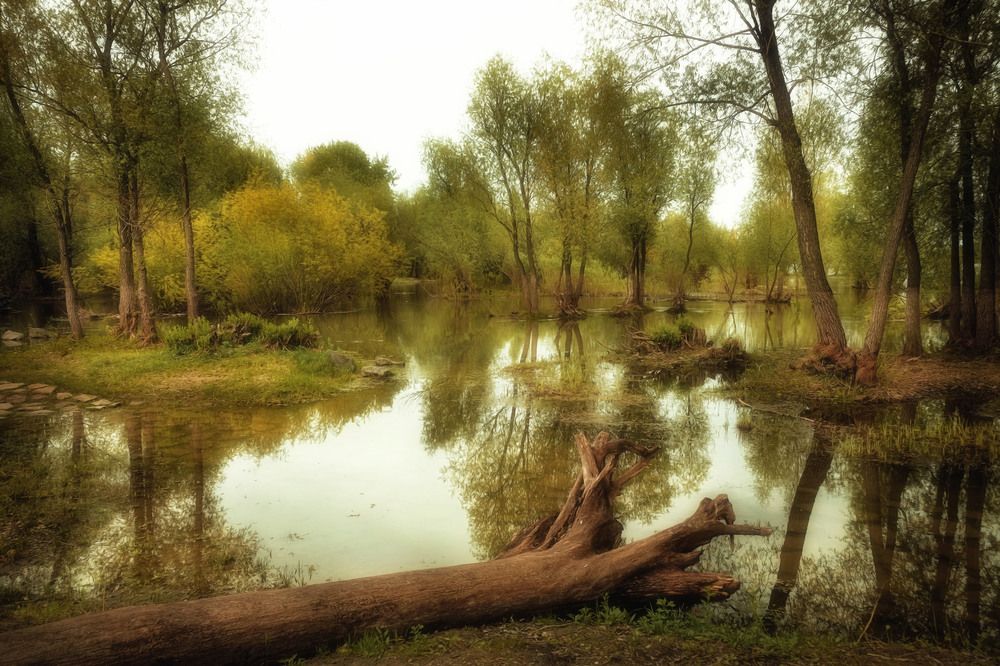 Photograph by Юлия Лушникова