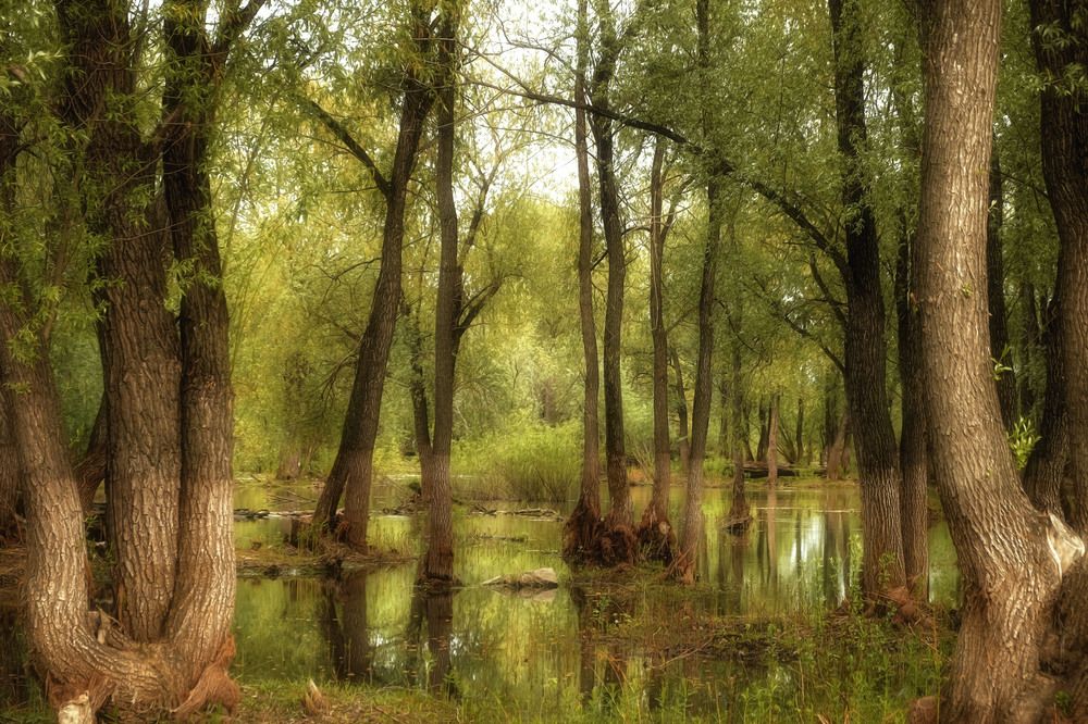 Photograph by Юлия Лушникова